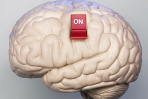 Что такое «Мозгократия»?
